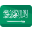 language icon